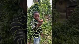 No gree make them whine you ooo comedy nigercomedy comedyfilms funny [upl. by Lirbaj]