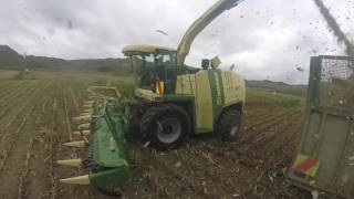 2016 NZ Maize  Vining Contracting [upl. by Malloy]