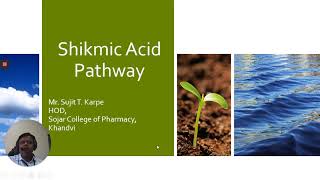 Shikimic acid Pathway [upl. by Waldner]