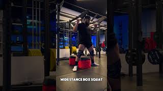 Wide Stance Box Squat [upl. by Hgierb]