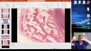 Histology of the Ossification part 1 [upl. by Bocoj]