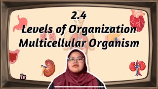 SCE550 Biology Form 4 24 Levels of Multicellular Organism [upl. by Prospero]