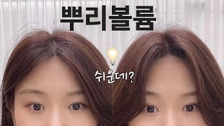 뿌리볼륨 살리기 가장 쉬운 방법💡 [upl. by Hackett498]