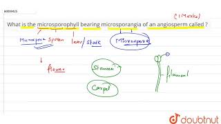 What is the microsporophyll bearing microsporangia of an angiosperm called   11  PLANT KINGD [upl. by Aissyla]