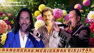 BALADAS INOLVIDABLES  Marco Antonio Solís Joan Sebastian Pepe Aguilar  VIEJITAS amp BONITAS [upl. by Wallack909]