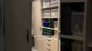 Home organization ideas Visiting a professional organizer [upl. by Nagah115]