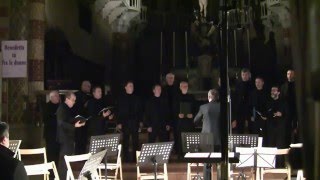 Som Som P Bon  Coro Montecimon  Natale in Duomo 2015 [upl. by Alvina]