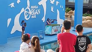 Family Day Manila Ocean Park 012223 [upl. by Ymassej763]