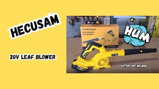 Dewalt 20V Max Battery Expert Shares Top Leaf Blower Secrets [upl. by Dyrraj974]