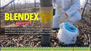 UPL  Blendex banda insecticida [upl. by Anilam]