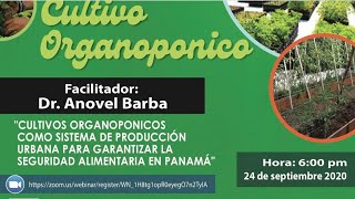 Webinar Cultivo Organopónico [upl. by Janik]