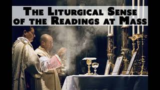 The Liturgy Equips Us to be Merciful 15th Sunday OT Year C [upl. by Barnaby391]