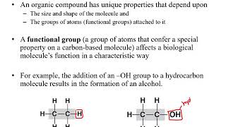 Chapter 1 Chemistry Part 2 Macromolecules [upl. by Sileray552]