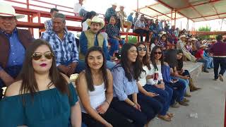 Lo Mejor de Los Coleaderos en Lienzo Charro Pepe Quezada Feria Regional Jalpa 2017 [upl. by Adanar584]