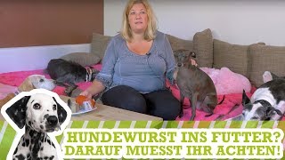 Hundewurst ins Futter Darauf müsst ihr achten [upl. by Adlog]