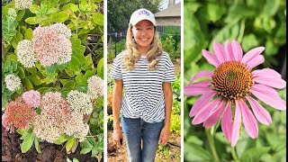 Sedum and Echinacea  relocating and transplanting time lapse [upl. by Irene910]