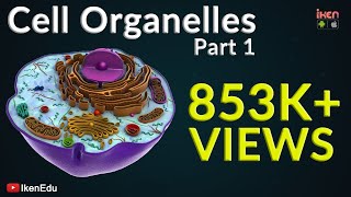 Cell Organelles  Part 1  Animation Video  Iken Edu [upl. by Nuhsar]