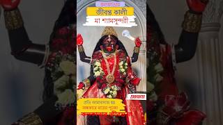 Maa Sham Sundori Temple Kolkata  Maa Kali Temple in Kolkata  কলকাতার জীবন্ত মা  Kali temple [upl. by Valida]