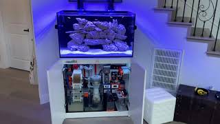 Redsea reefer 250 tech tank [upl. by Madeline]