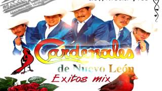 cardenales de nuevo leon mix exitos [upl. by Goraud97]