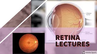 RETINA LECTURE 4 DIABETIC RETINOPATHY in detail with all important stuff [upl. by Ecirpac921]