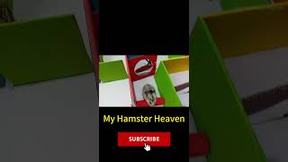 🐹Hamster Escape Maze🐹 The Haunted Hamster Escape Flee the Frightful Chamber [upl. by Nnahtur]