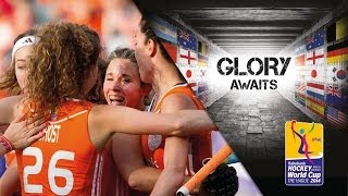 Netherlands vs Japan  Womens rabobank Hockey World Cup 2014 Hague Pool A 3152014 [upl. by Ailen646]