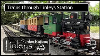 Building a Garden Railway • Laying Track amp Running Trains • G Scale Garden Railway Development [upl. by Annayat752]