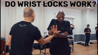 Mastering Finger Locks And Wrist Locks With Professor James Hundon [upl. by Joan97]