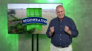 Os Segredos da Agricultura Regenerativa Com Ademir Calegari [upl. by Fawne]