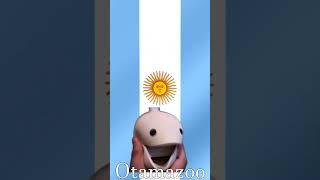 Himno Nacional Argentino 🇦🇷  Otamatone amp Kazoo Cover  National Anthem of Argentina [upl. by Stasny]