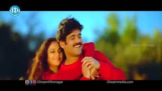 Nuvvante Nakishtam Video Song  Santosham Movie Nagarjuna Gracy Singh Shriya Saran [upl. by Sexton]