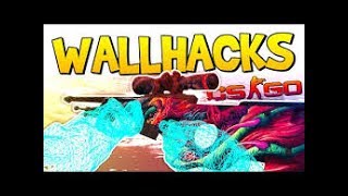 FREE WALLHACKS IN CSGO  AutoHotKey  CSGO Wallhack Script Tutorial Walk through BANABLE [upl. by Letha]