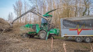 ALBACH DIAMANT 2000  BROYEUR FORESTIER in France [upl. by Isis572]