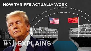 Why Economists Hate Trumps Tariff Plan  WSJ [upl. by Lyrem329]