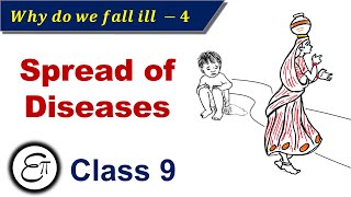 Why do we fall ill Part 4  Means of Spread of Infectious Diseases  in Hindi for Class 9 [upl. by Attenrev]