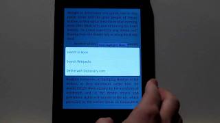 Pandigital Planet Android Tablet with Kindle App Review [upl. by Rai]