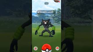 Catching ZARUDE in Pokémon GO [upl. by Avaria]