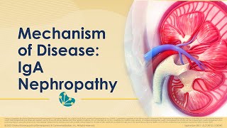 Mechanism Of Disease Youtube Snippet [upl. by Etteroma]