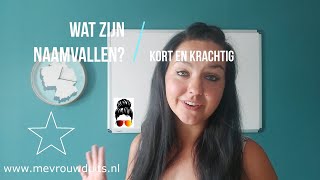 mevrouwduits Wat zijn naamvallen en hoe ontleed je een zin [upl. by Ragen921]