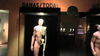 KRAPINA NEANDERTHAL MUSEUM [upl. by Treat]