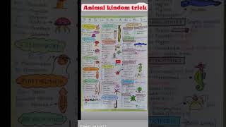 Animal kingdom tricks  neet biology best shorts viralviews [upl. by Ahtaela160]