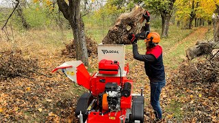 💎You have not Seen This Before Universal Wood Chipper Shredder [upl. by Ruff]