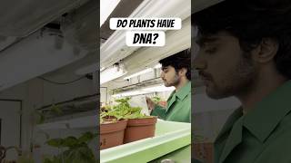 My experiment with Plant DNA 🧬  Tamil Scientist in Germany scienceexperiment tamilsciencechannel [upl. by Sitoel]