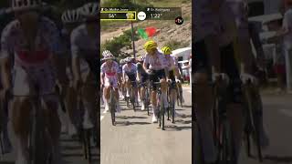 TDF2024  Ça se chamaille gentiment entre Pogacar et sa compagne Urška Žigart 😅 cycling pogacar [upl. by Hazem]