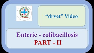 Enteric colibacillosis Part 2 [upl. by Grane]