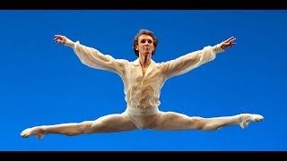 Bolshoi Ballet  Male Principal Dancers 2019 [upl. by Leo491]