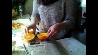 DIY Orange Bird Feeder [upl. by Onitrof]