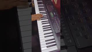 Dakhancha Raja jyotiba maza  दख्खनचा राजा ज्योतिबा चांगभलं viewsmarathisongviral pianocover [upl. by Anaiq]