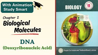 DNA Deoxyribonucleic acid  100 concept clear  Chapter 2  Class 111st year  Punjab biology [upl. by Gamali126]